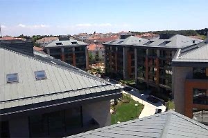 Titanyum Çinko Kenet